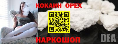 apvp Тулун