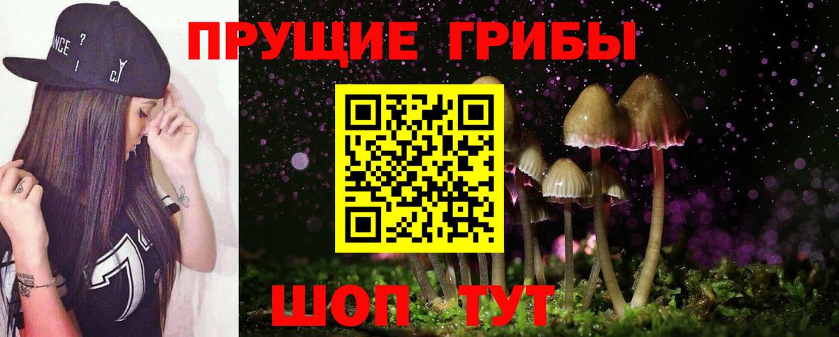 Псилоцибиновые грибы GOLDEN TEACHER  Вход с VPN  Лабытнанги  Псилоцибиновые грибы Magic Shrooms 